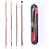 Stainless Steel Blackhead Remover